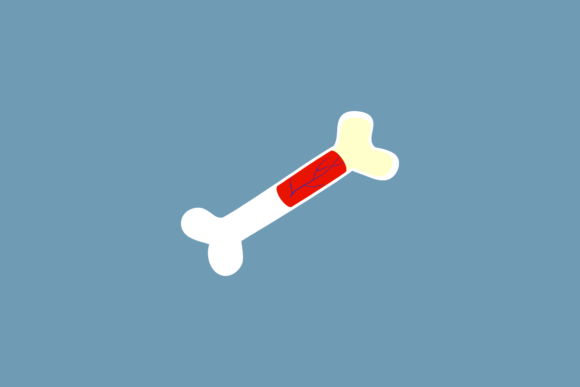 Medical Donor Organs Icon Graphics